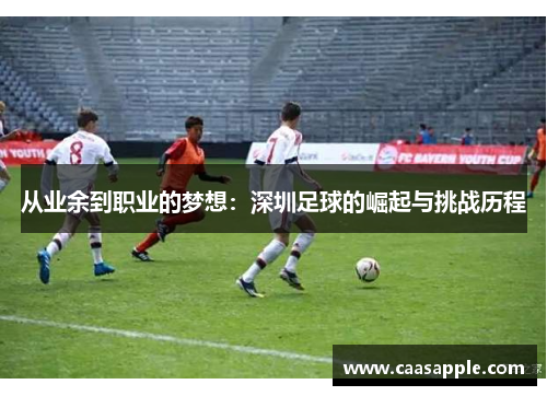 从业余到职业的梦想：深圳足球的崛起与挑战历程