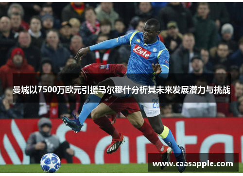 曼城以7500万欧元引援马尔穆什分析其未来发展潜力与挑战 曼城以7500万欧元引援马尔穆什分析其未来发展潜力与挑战