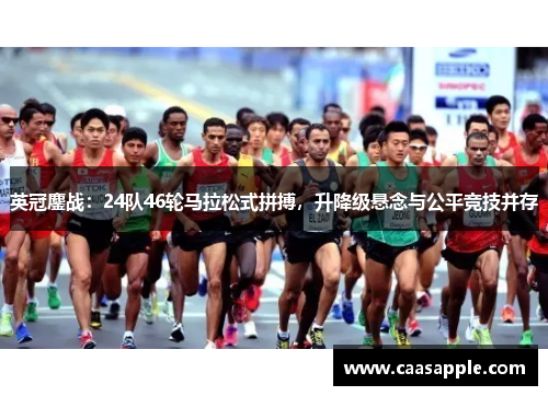 英冠鏖战：24队46轮马拉松式拼搏，升降级悬念与公平竞技并存