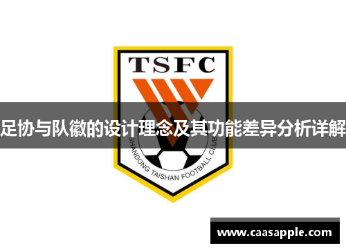 足协与队徽的设计理念及其功能差异分析详解